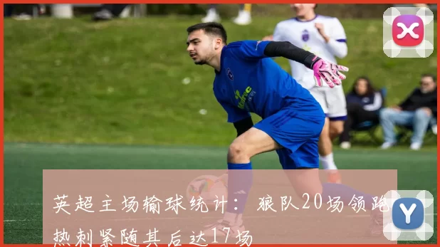 英超主场输球统计：狼队20场领跑热刺紧随其后达17场
